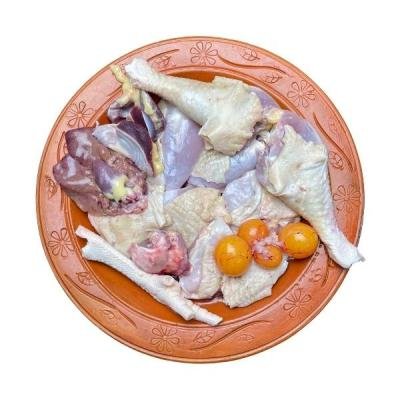 লেয়ার মুরগি